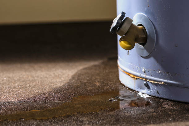 Best Local water damage restoration  in Chester, CA