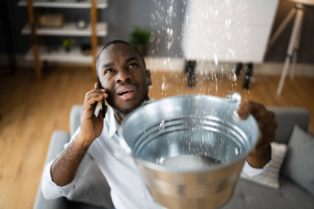 Best Residential water damage restoration  in Chester, CA