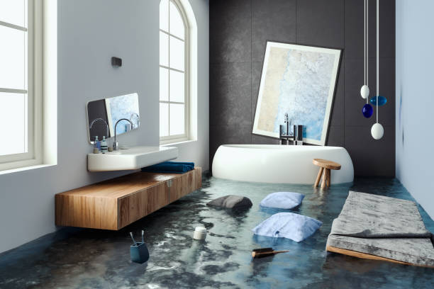 Best Mold removal after water damage  in Chester, CA
