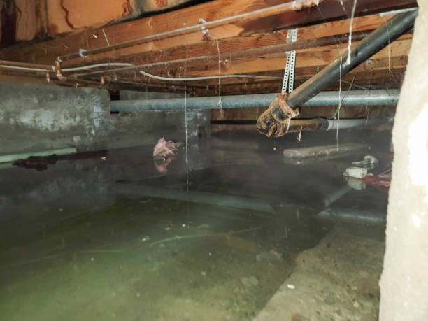 Best Water damage restoration near me  in Chester, CA