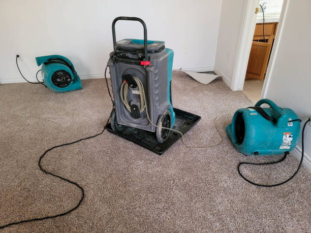 Best Basement water damage restoration  in Chester, CA