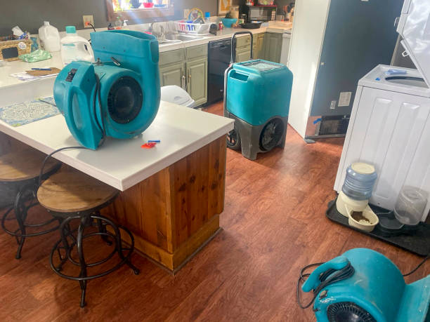 Best 24/7 water damage repair  in Chester, CA
