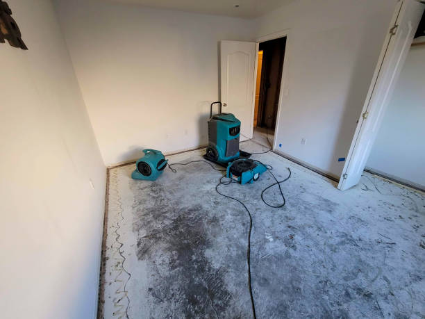Best Sewage cleanup and water damage restoration  in Chester, CA