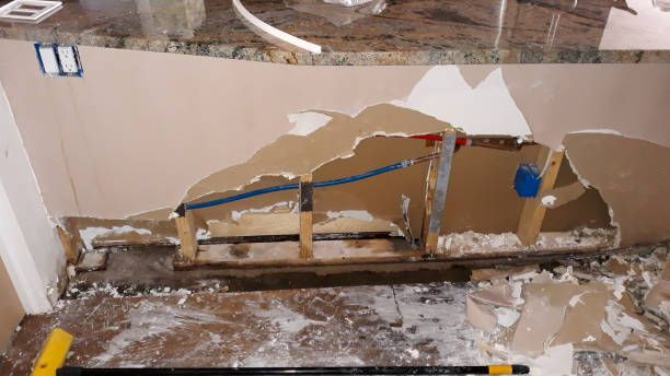 Best Water damage contractors near me  in Chester, CA