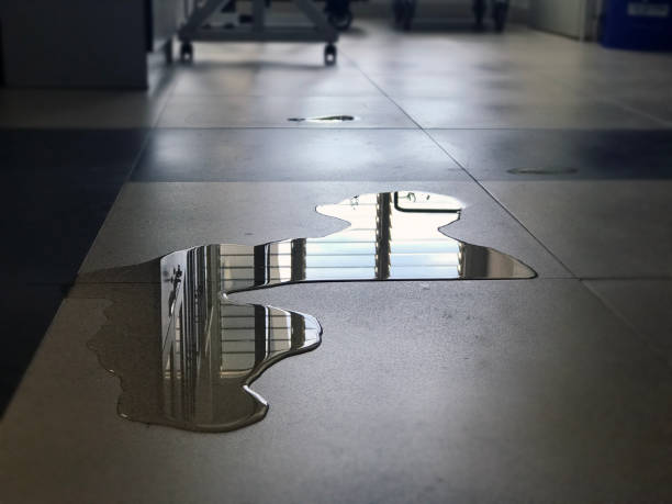 Best Commercial water damage restoration  in Chester, CA