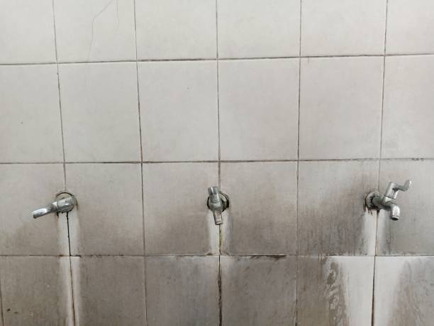 Best Flooded house restoration  in Chester, CA