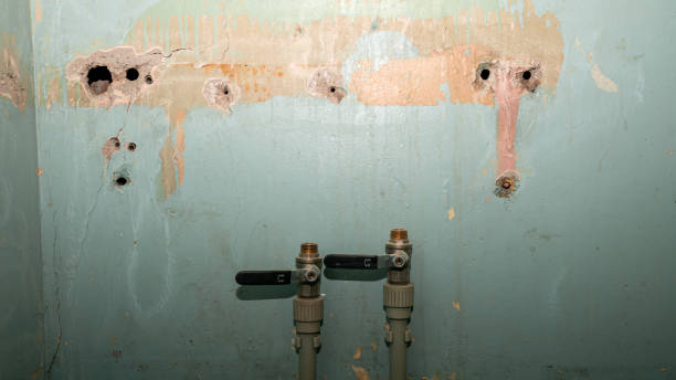 Best Emergency water damage restoration  in Chester, CA