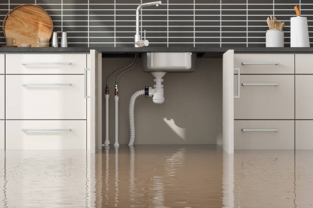 Best Residential water damage restoration  in Chester, CA